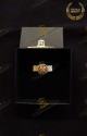 ROSETTA LAPEL PIN KNIGHT GRAND OFFICER OF MERIT  CONSTANTINIAN ORDER OF SAINT GEORGE - FRANCO NAPOLITAN BRANCH