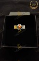 ROSETTA LAPEL PIN KNIGHT GRAND OFFICER OF MERIT  CONSTANTINIAN ORDER OF SAINT GEORGE - FRANCO NAPOLITAN BRANCH